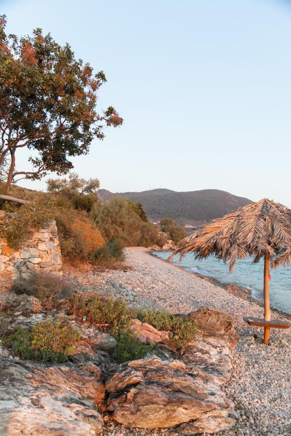 Beach Front Villa Melani Mytilíni Dış mekan fotoğraf